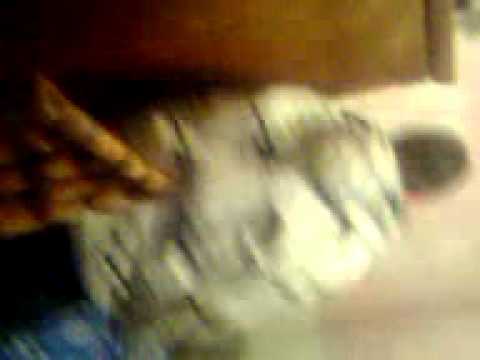 Tira A Mao De Mim video