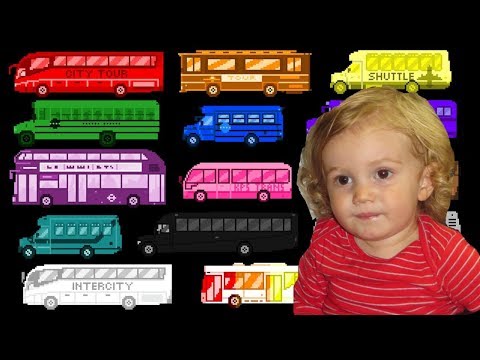 Bus Colors - Street Vehicles - The Wheels on the Bus - The Kids' Picture Show - Oskar's Response