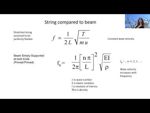 George Stoppani: Gut strings –  and all it entrails …