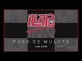 PASO DE MULATA - Illapu Cover