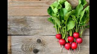 Soeur Sourire - Plume De Radis