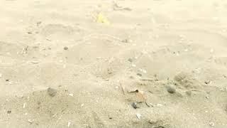 Download lagu Siji wadah ojo ngnty pecah mp3 Download lagu Siji wadah ojo ngnty pecah mp3