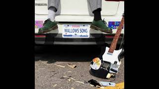 Wallows Song Music Video