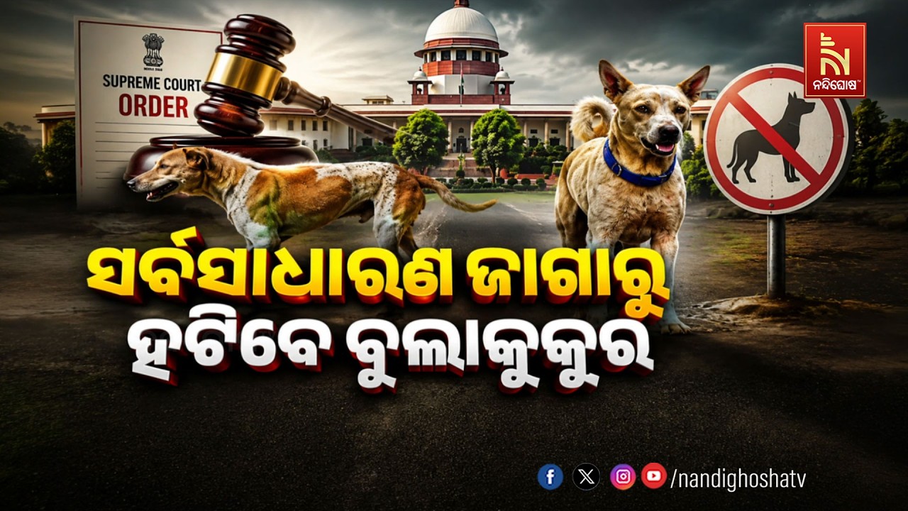 🔴 Live | ସର୍ବସାଧାରଣ ଜାଗାରୁ ହଟିବେ ବୁଲାକୁକୁର