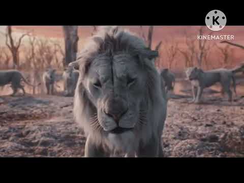 “My Little Animal: The Movie” Part 20 - The Canterlot Battle