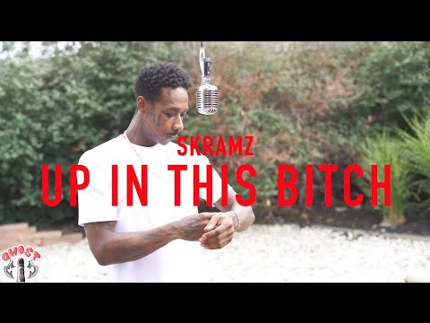 SKRAMZ - UP IN THIS BITCH
