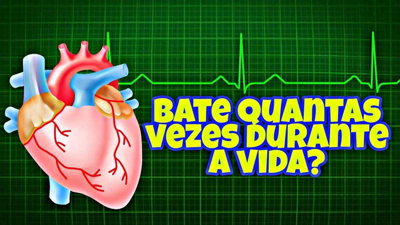 Quantas vezes o CORAÇÃO BATE durante a VIDA Quanto de SANGUE é impulsionado pelo CORAÇÃO