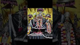 21 March 2023#shortvideo #viral