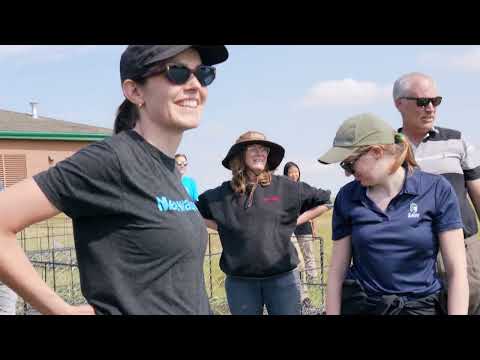 Floating Treatment Wetlands