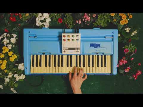 A Nice Song for Spring