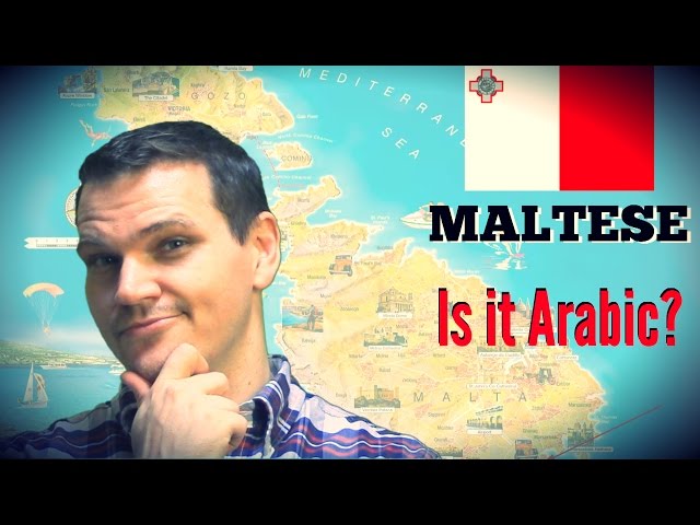 Video Pronunciation of maltese in English