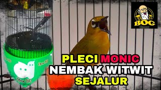 Download lagu PLECI ' MONIC ' NEMBAK WITWIT SEJALUR || B.O.G PCMI CHAPTER GARUT mp3 Download lagu PLECI ' MONIC ' NEMBAK WITWIT SEJALUR || B.O.G PCMI CHAPTER GARUT mp3