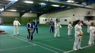 preview picture of video 'Qi Kwan Do - Stevenage Grading (August 2011)'