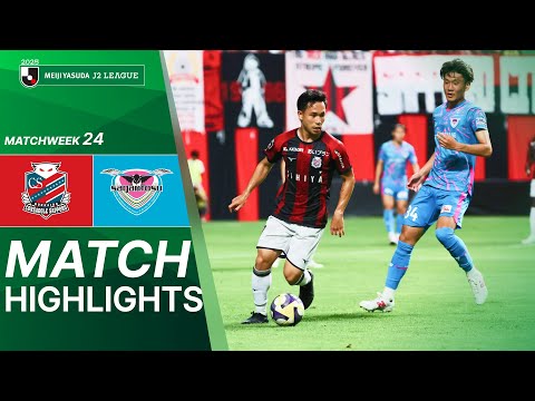 bg-highlight