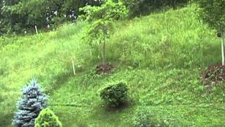 Even if the Sun doesn't Shine