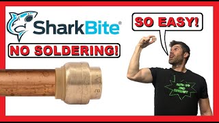 SharkBite - Capping off a water pipe with SharkBite end cap - EASY |  How To | Review | Shark Bite