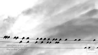 Whispers and Fuzz - We&#39;re The Ordinary (Starflyer 59 Cover)