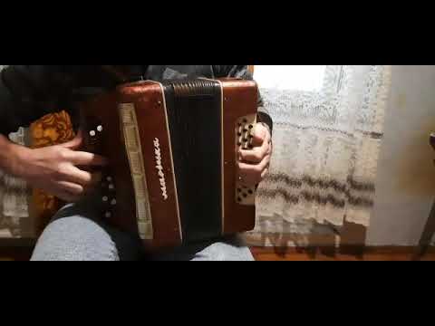 Accordion Garmon Marichka
