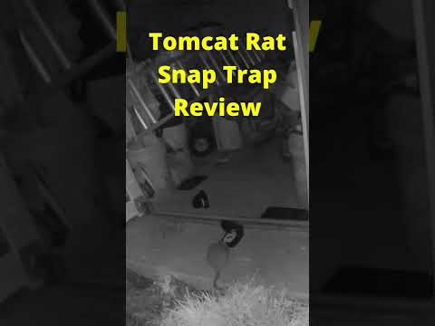 Tomcat Rat Snap Trap Review