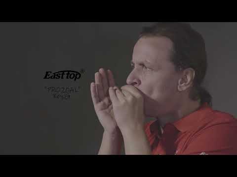 Демонстрация звучания губной гармошки Easttop PR020AL 