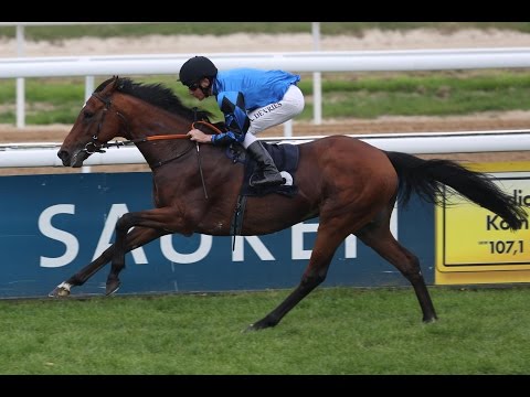 Köln: 82. Gerling-Preis (Gruppe 2)