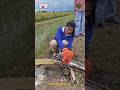 Amazing Water Pumping Brushcutter Attachment