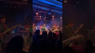 Fishbone - Swim live Fribourg 2.05.2025 #liveinbesak #fishbone