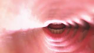 Animal Collective - Hey Light (video collage)