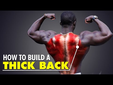 The #1 Workout For Back Thickness (5 Exercises)