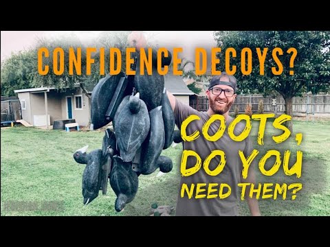 Coot Decoys | How to use confidence decoys, and why you might need them. Tanglefree vs. Higdon