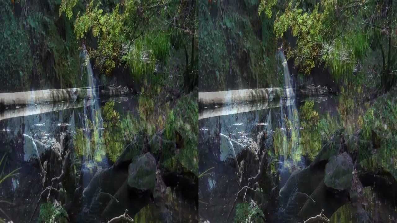 GERMANY 3D | THE BLACK FOREST (Official Trailer) by TMS3D