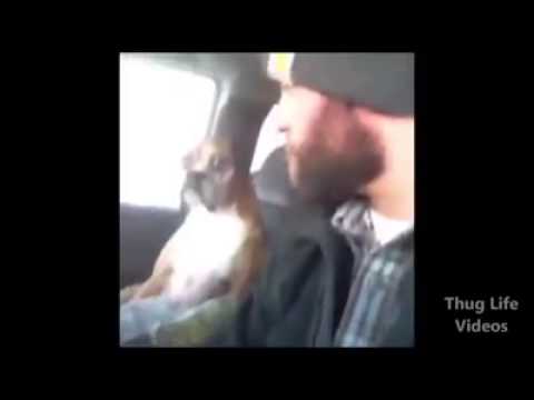 Много ме кефи това видео :D