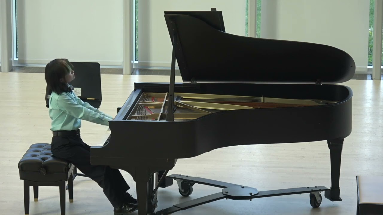 Promotional video thumbnail 1 for Piano, Keyboard Performance by Margin