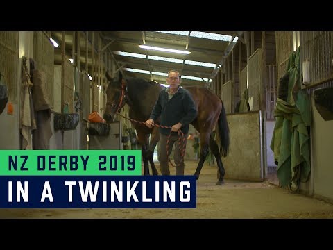 NZ Derby Preview 2019 - In a Twinkling