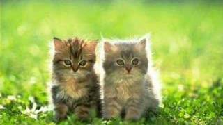 Matt Wertz - Even The Streets