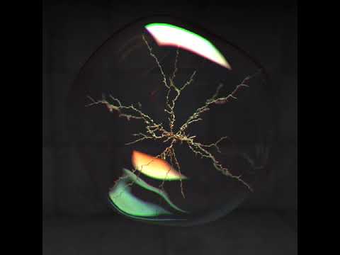 Evolve // CGI Motion Graphics Animation