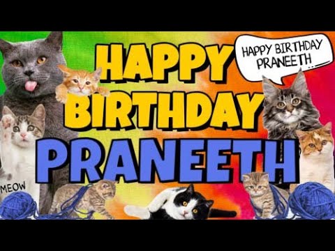 Happy Birthday Praneeth! Crazy Cats Say Happy Birthday Praneeth (Very Funny)