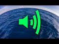 Underwater Ambience Sound Effect (No Copyright) [Free Download]