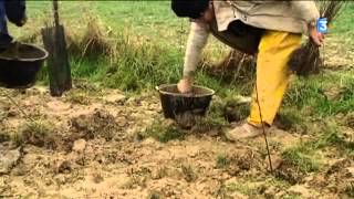 Click here to play the video