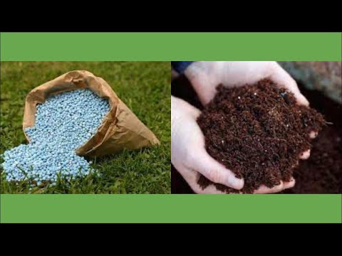 Inorganic Fertilizers versus Organic Fertilizers