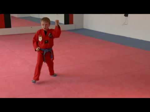 Taekwondo Kids Hyong   1