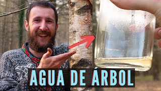 Thumbnail del capítulo