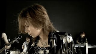 DOLLS Lyrics English Translation