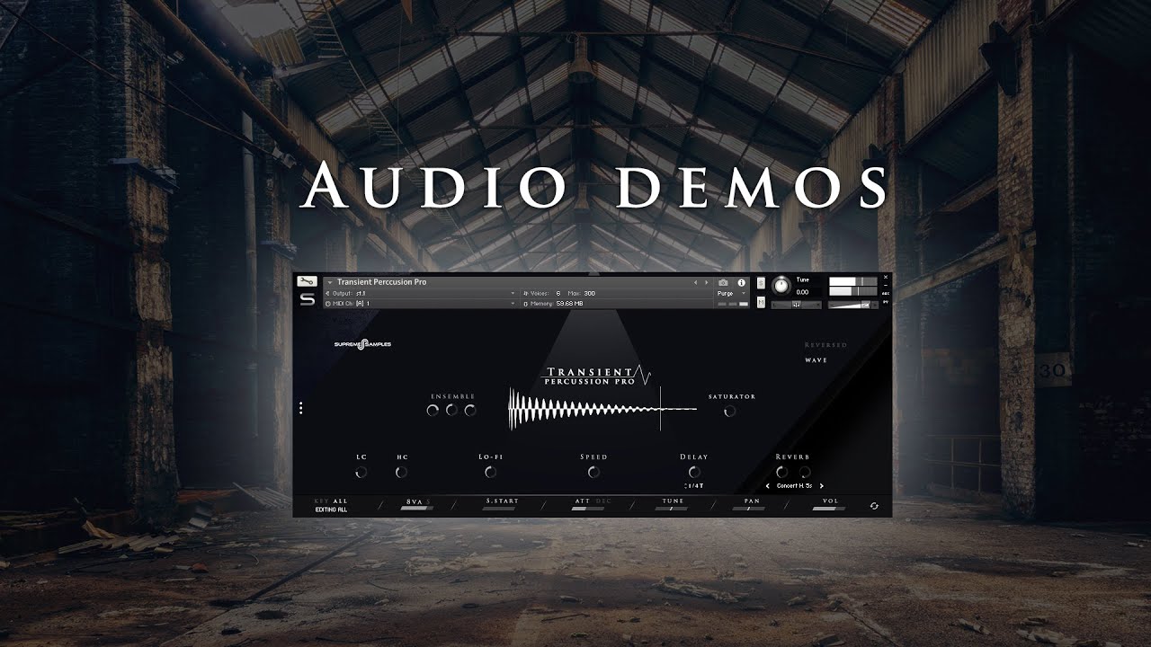 Transient Percussion Pro thumbnail 2