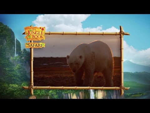 The Jungle Book Safari - Episode 24 -  The Arctic