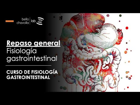 Repaso de Fisiología Gastrointestinal