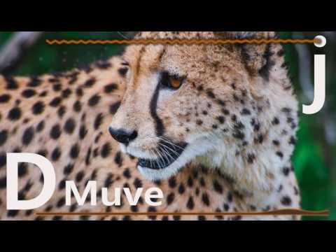 AzChike - Lose It (Prod. ShawnBeats & Lil Rece) by DMuvej