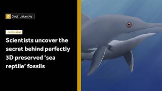 Scientists uncover the secret behind perfectly 3D preserved ‘sea reptile’ fossils