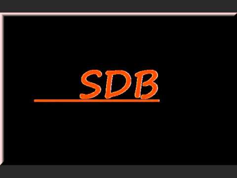 Wicek - To jest twoja decyzja