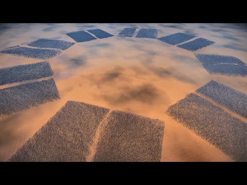 Battle Royale: 8 Armies - 4 Teams - UEBS 2